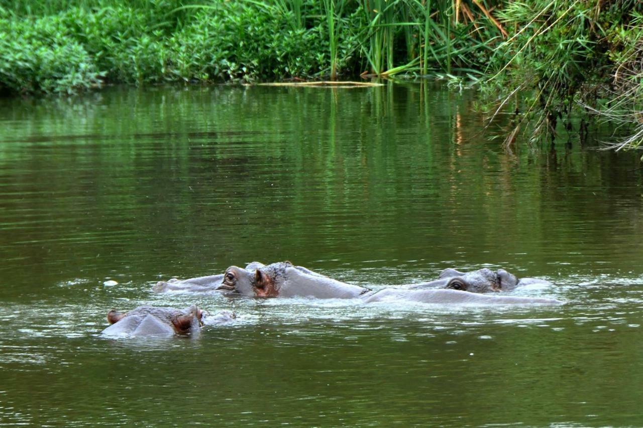 Kruger Park Lodge Unit No. 524 เฮซีวิว ภายนอก รูปภาพ